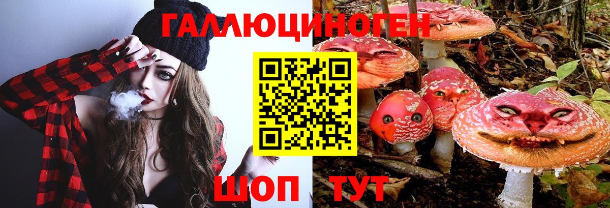 Галлюциногенные грибы Magic Shrooms  цены наркотик  Кинешма  Вход с VPN 