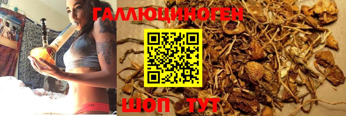 Галлюциногенные грибы мухоморы Кинешма